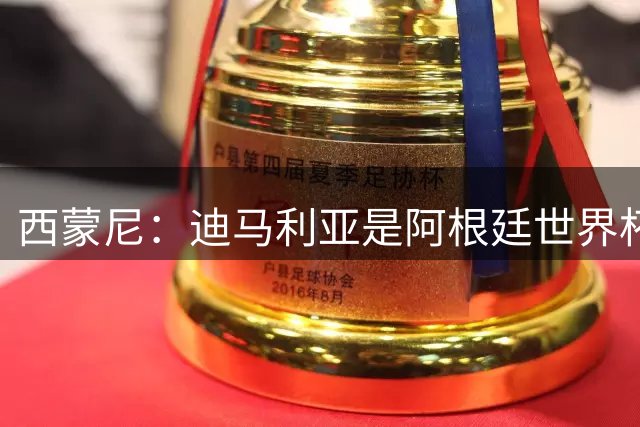 西蒙尼：迪马利亚是阿根廷世界杯夺冠的关键先生