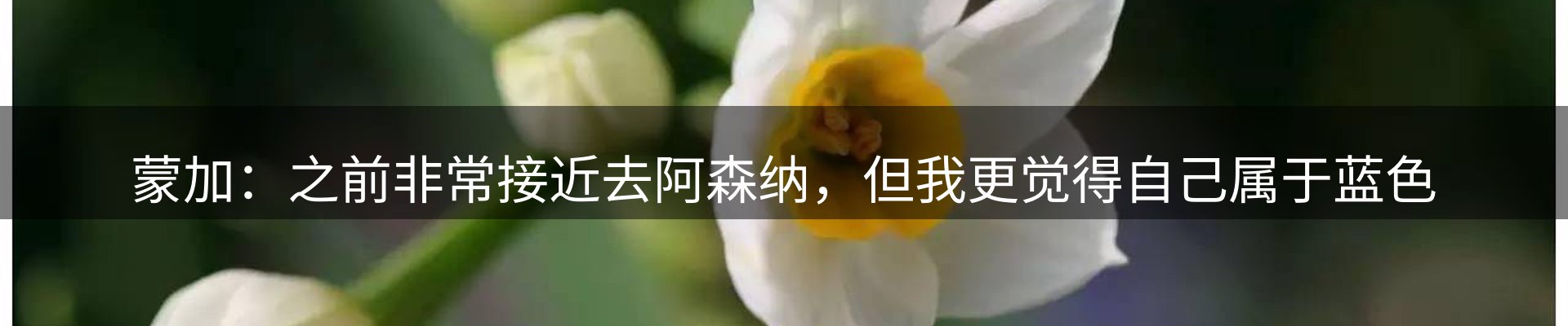 最新资讯